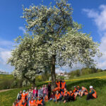 2026-04-20_Flurreinigung_1ab_02